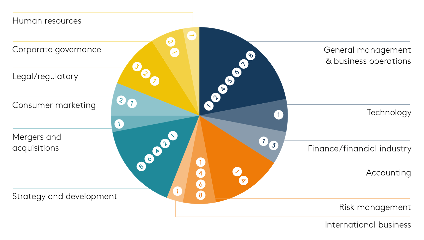Example pie chart - board member skill set Example pie chart - board member skill set